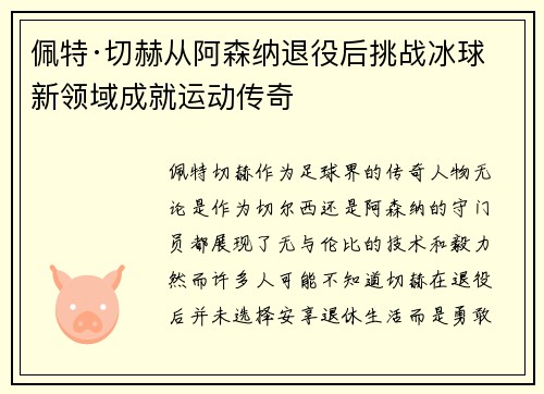 佩特·切赫从阿森纳退役后挑战冰球新领域成就运动传奇 佩特·切赫从阿森纳退役后挑战冰球新领域成就运动传奇